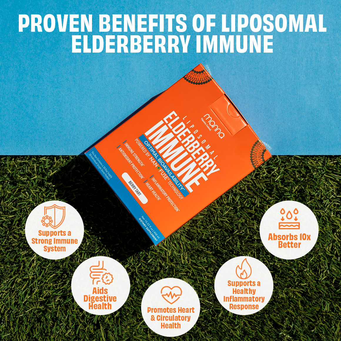 Liposomal Elderberry Immune