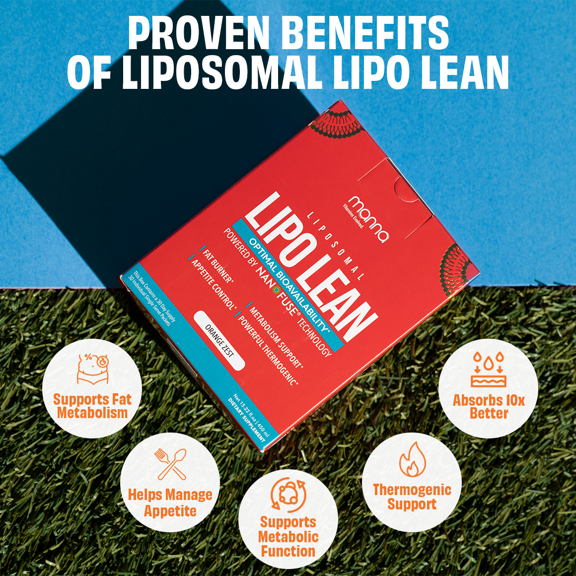 Liposomal Lipo Lean
